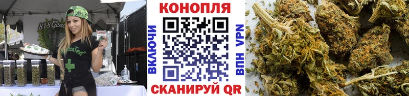 Бошки марихуана SATIVA & INDICA  Мосальск 